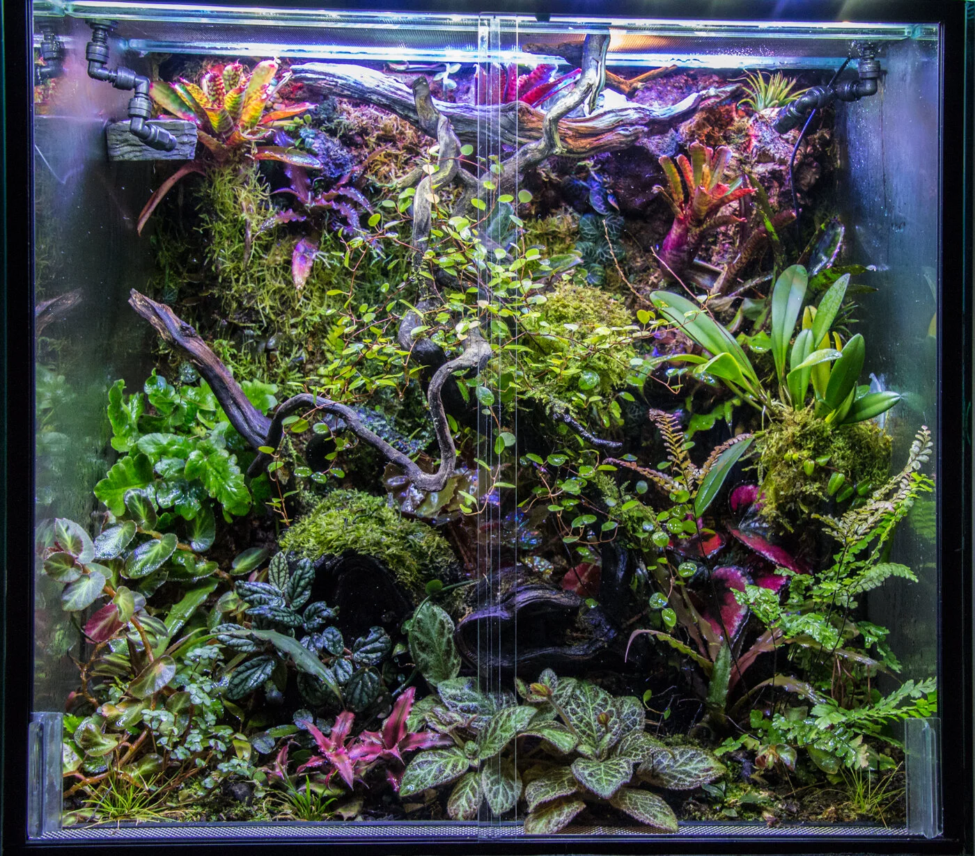 Vivarium accessories clearance